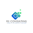 P.E.I. CONSULTING SRL