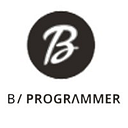 B PROGRAMMER SRL