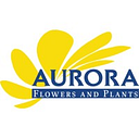AURORA FLOWERS AND PLANTS SRL