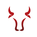 BULL SOFTWARE S.R.L.