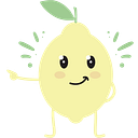 MINI LIMONI S.R.L.