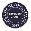 LEVELUP GRANT S.R.L.