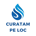 CURATATORIE TAPITERII SRL
