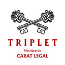 TRIPLET ROMANIA SRL