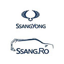 SSANGRO CARS SRL