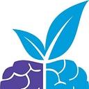 TOP BRAIN SRL