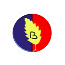 CENTRUL MEDICAL BĂNEASA B. SRL