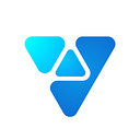 VISION TECHNOLOGY DEVELOPMENT SRL