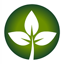 PROPERTYCARE SRL