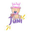 JUNIORUL BEST STORE S.R.L.