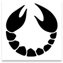 SCORPIO FINANCIAL ADVISORS S.R.L.