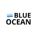 BLUE OCEAN STRATEGY S.R.L.