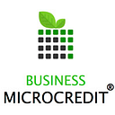 BUSINESS MICROCREDIT IFN S.A.