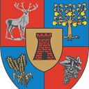 Stema COMUNA VIILE SATU MARE