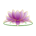 LOTUS CLEANING SERVICES S.R.L.