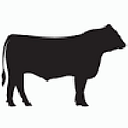 PRIME BEEF TRANSILVANIA S.R.L.