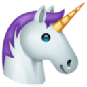 EINHORN S.R.L.