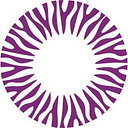 OPTICALMED REIN S.R.L.