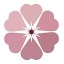 PAPER PETALS S.R.L.