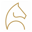 EPEIOS S.R.L.