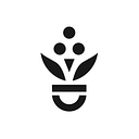 CENTRO ROASTERY S.R.L.