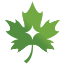 MAPLE TRADE S.R.L.