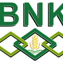 BNK BROKERS S.R.L.
