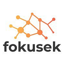 FOKUSEK ENTERPRISE S.R.L.