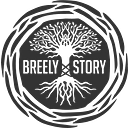 BREELY STORY S.R.L.