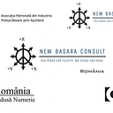 NEW BASARA CONSULT S.R.L.