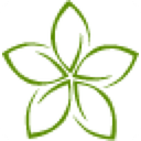 VITALITY ASIAN SPA S.R.L.