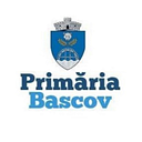 Stema COMUNA BASCOV