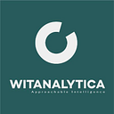 WITANALYTICA S.R.L.