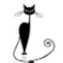 CHAT NOIR EXPERT S.R.L.