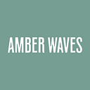AMBER WAVES S.R.L.
