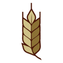 GOLDEN GRAIN ORGANICS S.R.L.