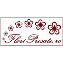 TALPEȘ ADELA-MARIA PERSOANĂ FIZICĂ AUTORIZATĂ