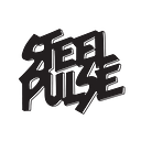 STEEL PULSE S.R.L.
