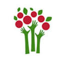 OLTENIA PEPINIERE S.R.L.