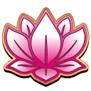 PHUKET MASSAGE S.R.L.