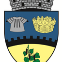 Stema ORAS TOPOLOVENI