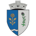 Stema Comuna Ciulnita