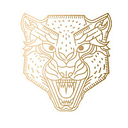 BMF DIGITAL S.R.L.
