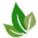 MEGAFRUCT MAIAMAX S.R.L.