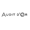AUDITDOR S.R.L.