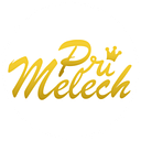GOLD PRIMELECH S.R.L.