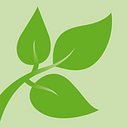 GREEN STEAM S.R.L.