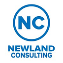 NEW LAND CONSULTING S.R.L.