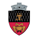 Stema Comuna Slatina