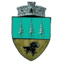 Stema Comuna Panaci